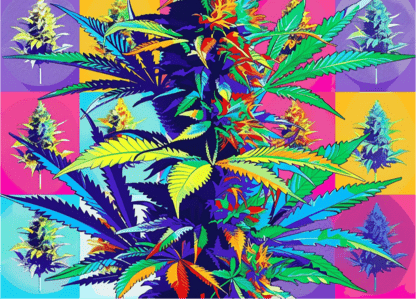 ✨ Ready for an aromatic adventure? Dive into the world of natural terpenes and discover how they can elevate your cannabis experience. From boosting creativity to promoting relaxation, Bud Love’s terpene-rich blends are here to customize your vibe. 🌟